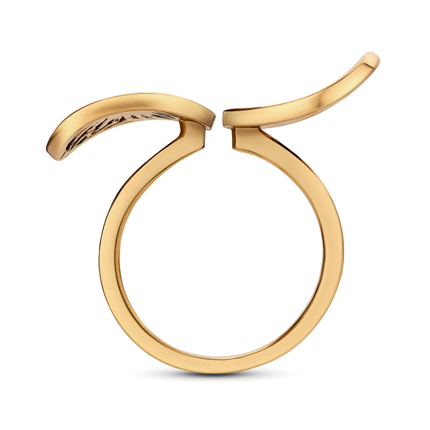 AN6300  Ring ERBARIO 