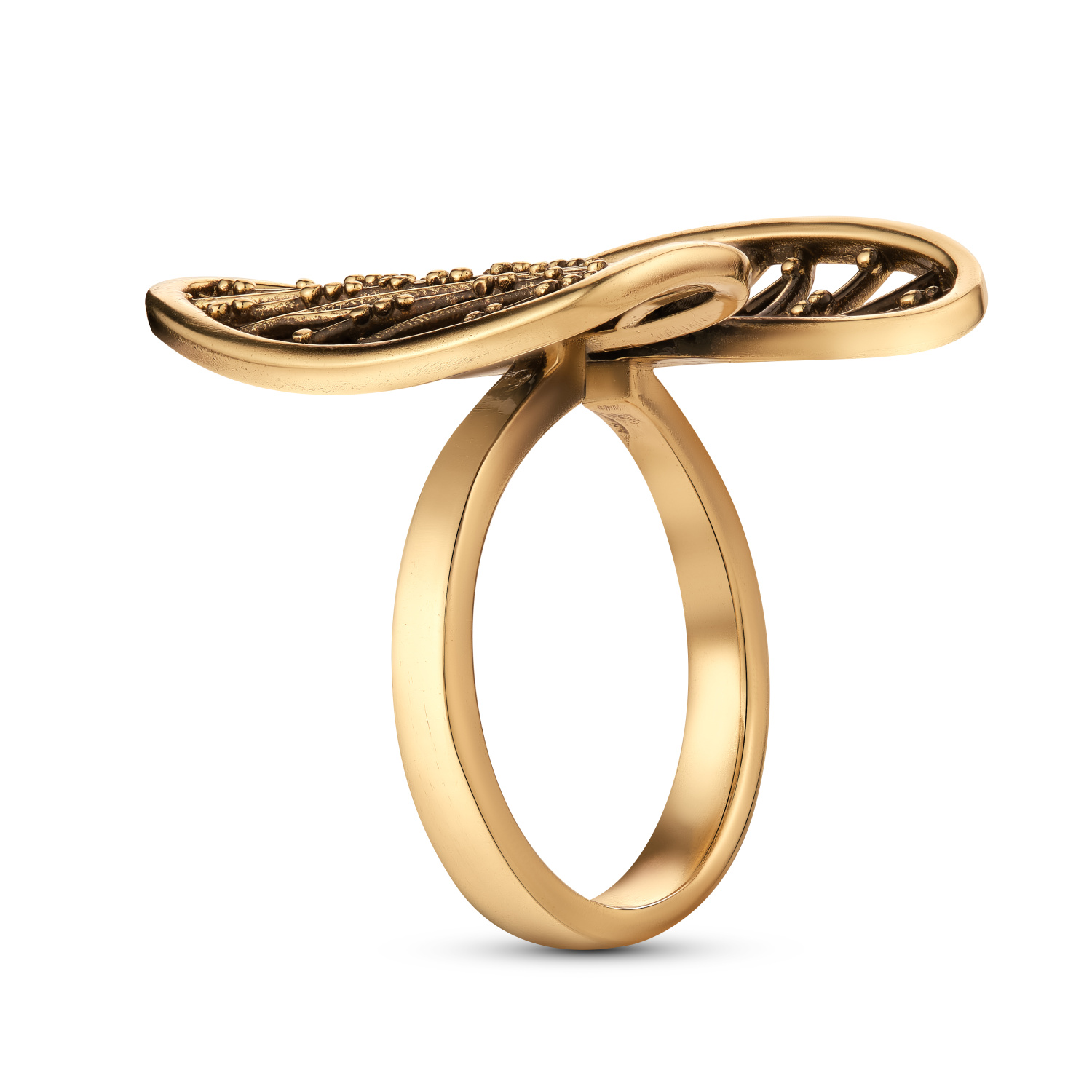 AN6300  Ring ERBARIO 