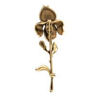 SP270510 Broosh ISPIRAZIONE